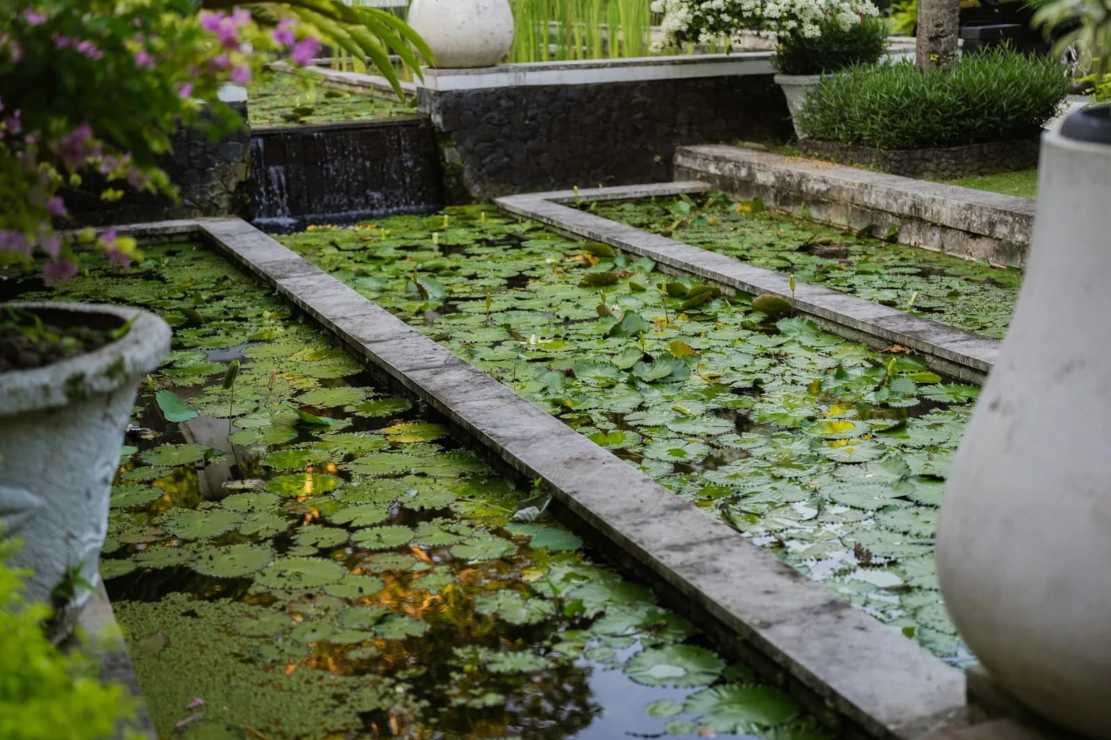 Canal d'eau et nymphéas